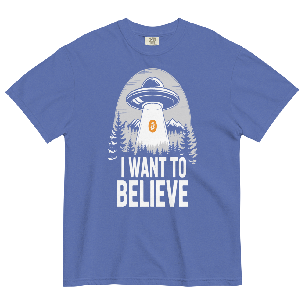 I Want To Believe Heavyweight Tee