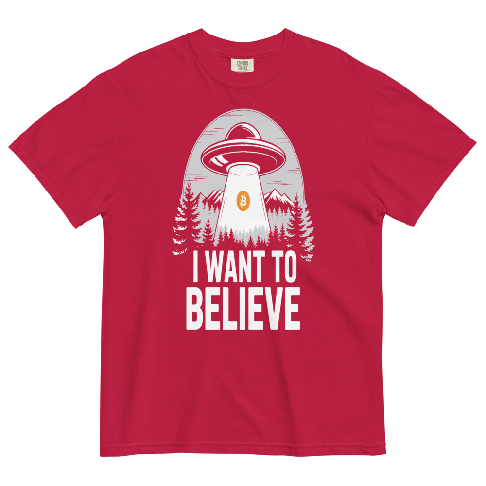 I Want To Believe Heavyweight Tee
