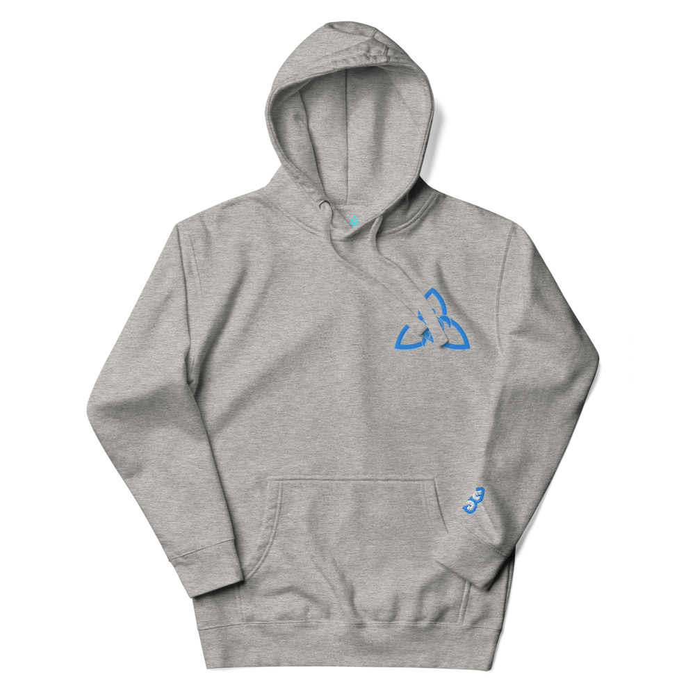 A Knight's Charge Pullover Hoodie