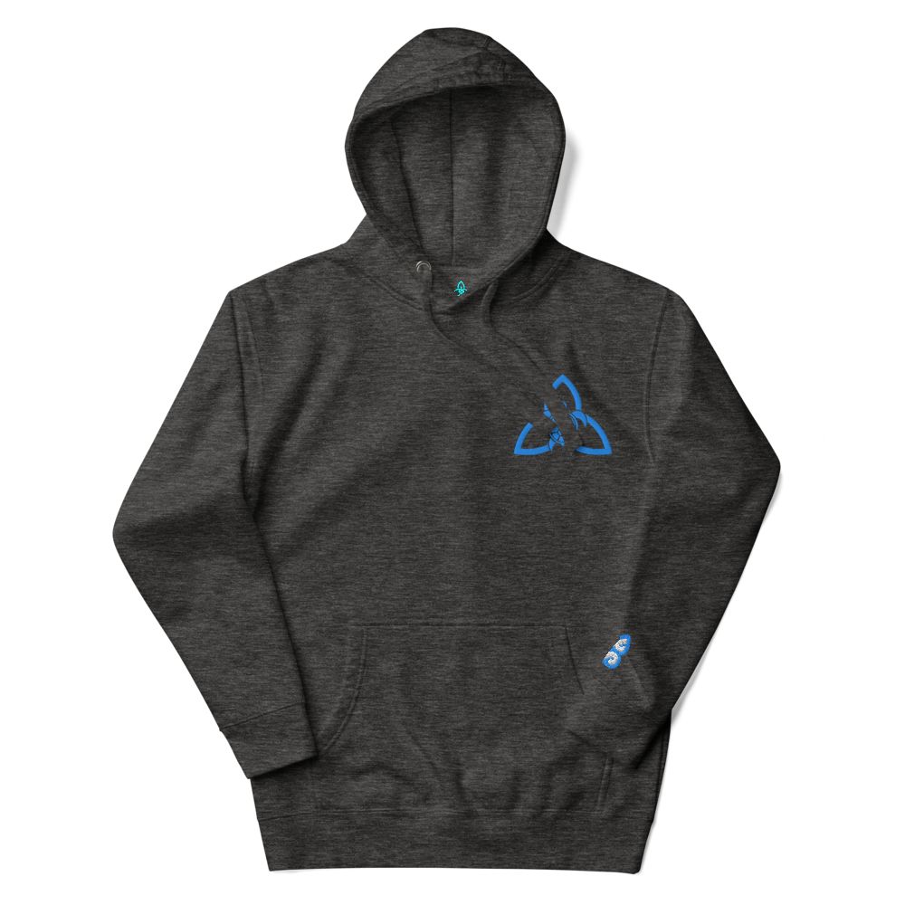 A Knight's Charge Pullover Hoodie