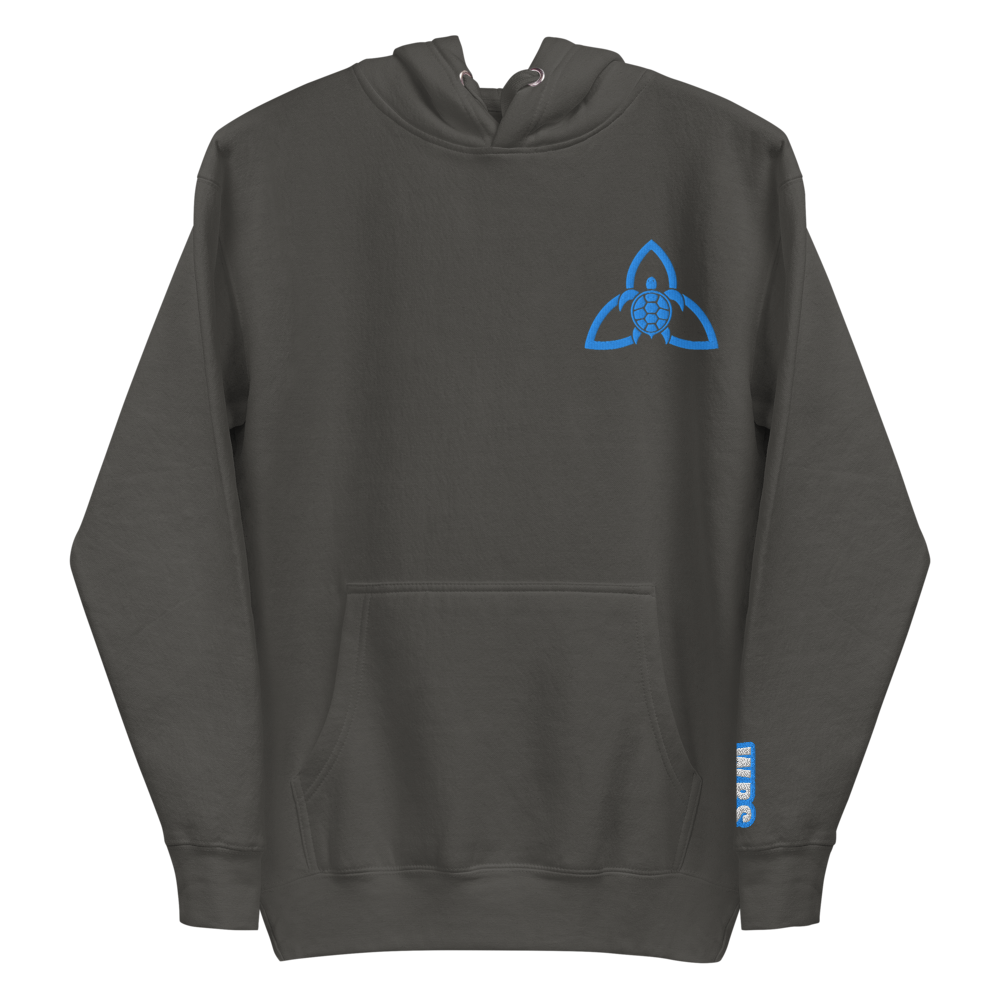 A Knight's Charge Pullover Hoodie